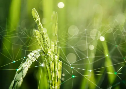 agriculture app development